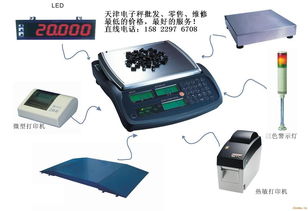 天津上下限報(bào)警秤