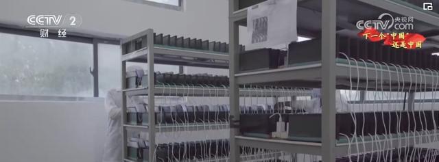 從制造到創新 多項利好疊加 吸引海外"創客